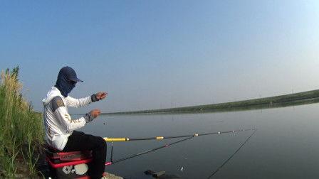 钓鱼视频大全